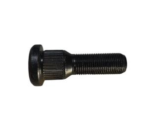 50542_stud.jpg